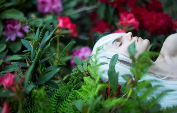 Girl, flowers, sleep, Lichon, white hair