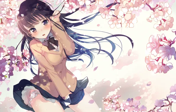 Girl, flowers, anime, Sakura, art, gin (oyoyo)