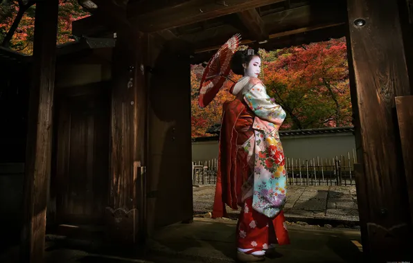 Girl, Japan, geisha