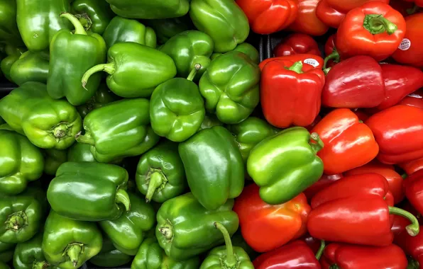 Red, green, harvest, pepper, vegetables, a lot, Bulgarian, selling