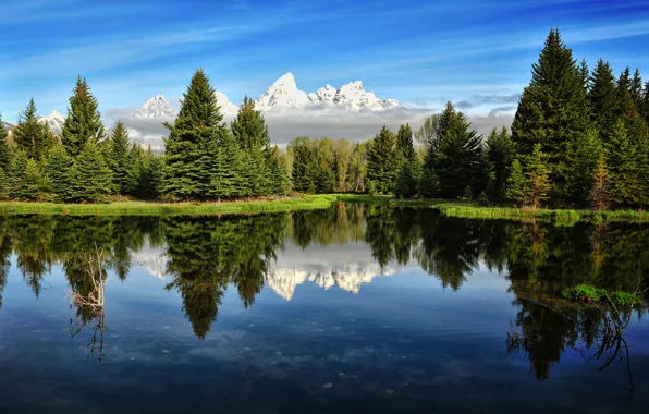 Picture forest, the sky, mountains, river, morning, USA