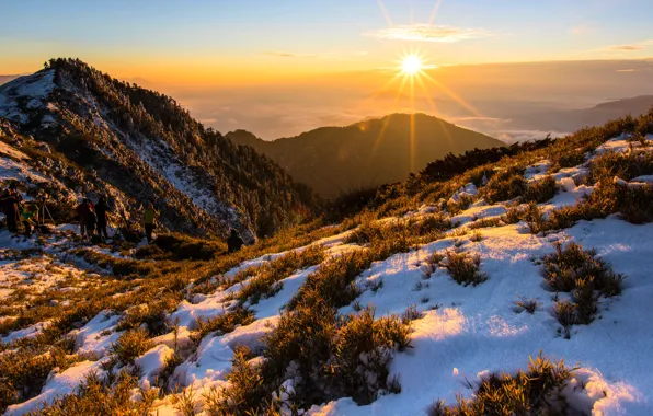 Winter, snow, mountains, people, vegetation, the slopes, Thailand, photographers