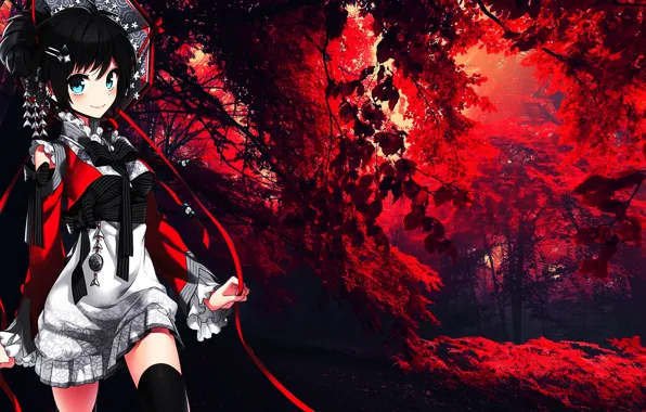 Anime Forest Background  Anime scenery, Anime background, Anime scenery  wallpaper