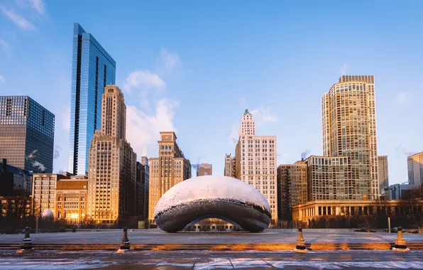 Picture Chicago, Illinois, America, Cloud Gate, Frozen Bean