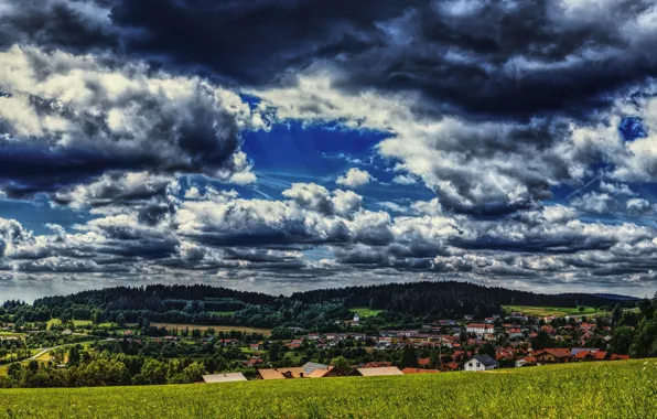 Picture greens, field, forest, the sky, grass, clouds, trees, home