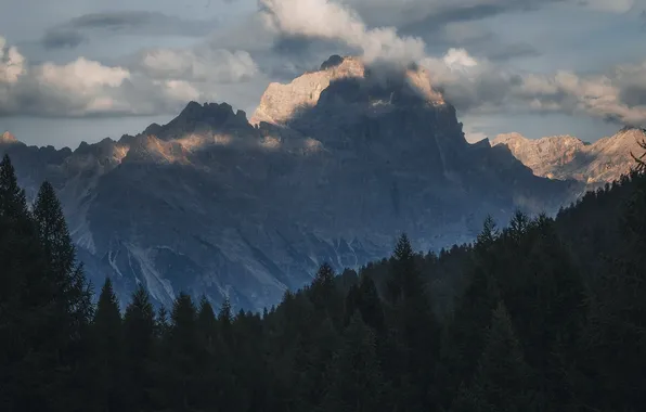 Forest, clouds, light, mountains, the slopes, tops, height, ate