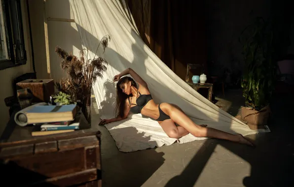 Pose, model, panties, makeup, figure, hairstyle, lies, brown hair