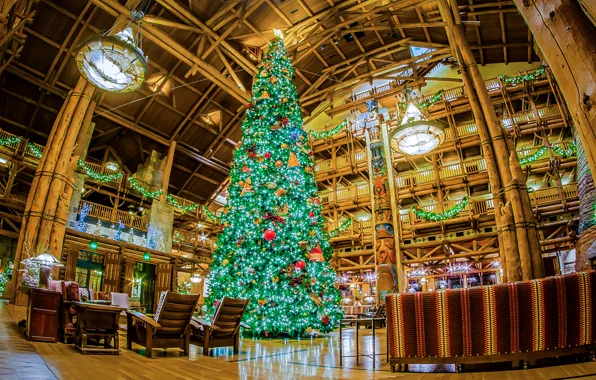 Design, lights, holiday, tree, interior, CA, New year, USA