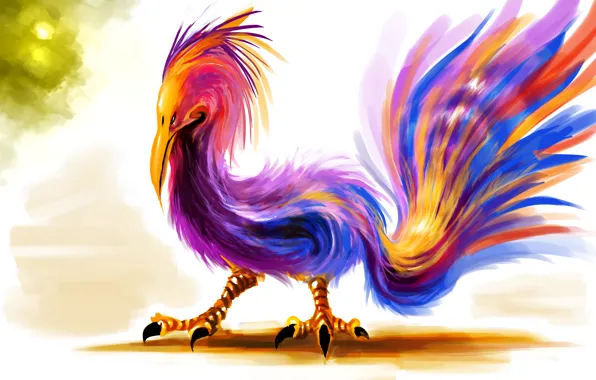 Bird, feathers, beak, tail, claws