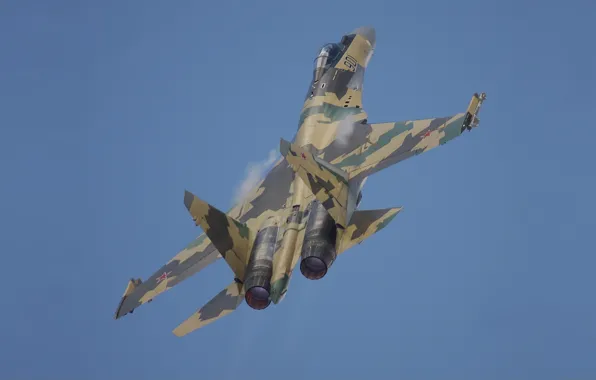 Fighter, Dry, Su-35BM, '901'