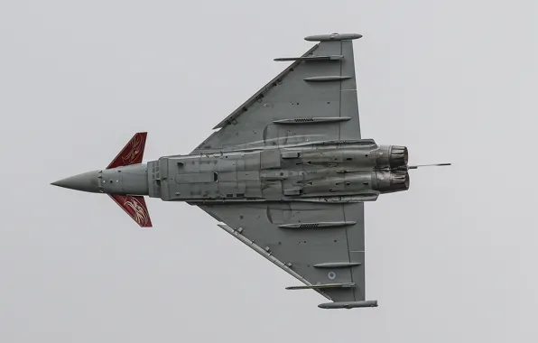 Picture fighter, flight, multipurpose, Typhoon, FGR4