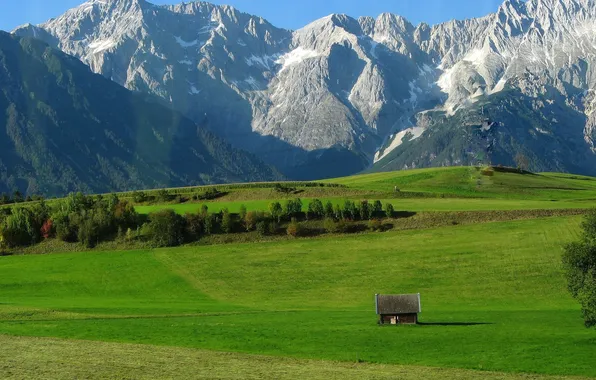 Picture Nature, Meadows, Photo, Mountains, Grass, Trees, Snow, Meadow