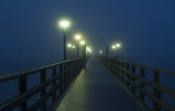 Lights, fog, morning, pier, lights