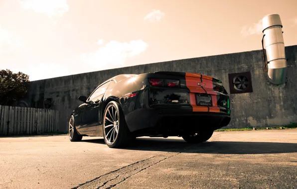 Strips, Camaro, stripes