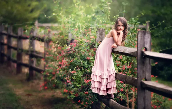 Picture flowers, children, the fence, dress, girl