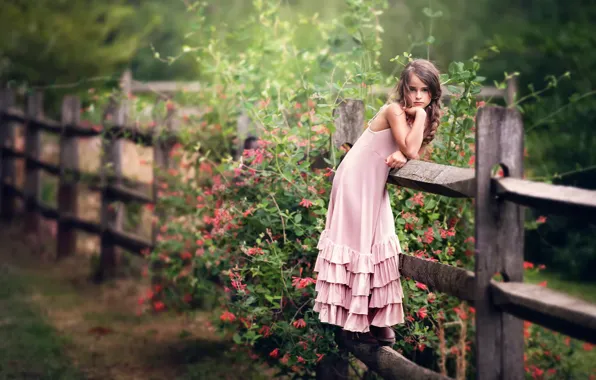 Flowers, the fence, dress, girl, child