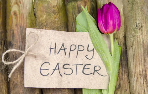 Flowers, Easter, tulips, wood, flowers, tulips, spring, Easter