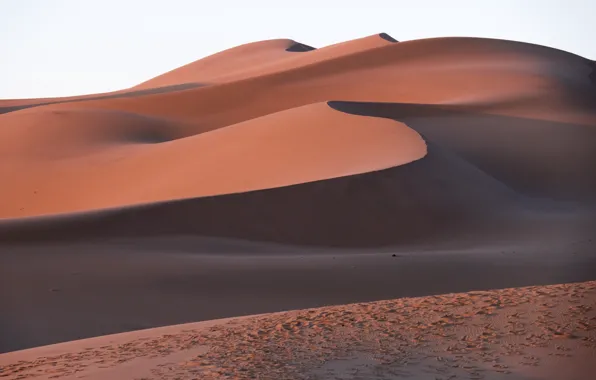 Sand, desert, Sands, Mongolia, Gobi