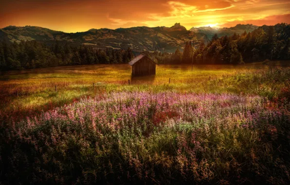 Picture field, mountains, treatment, the barn