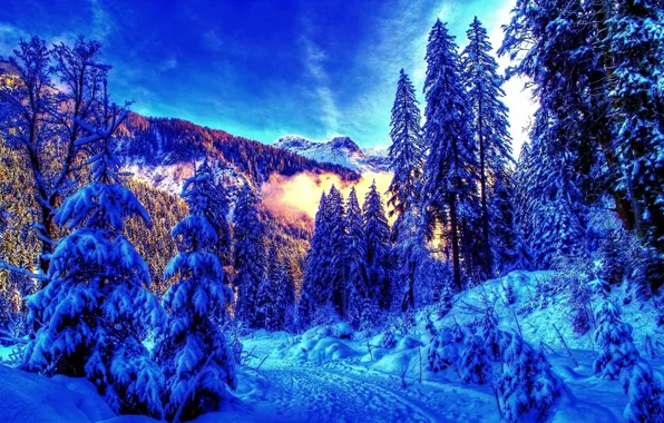 Picture winter, forest, landscape, mountains