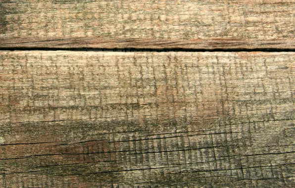 Structure, wood, texture