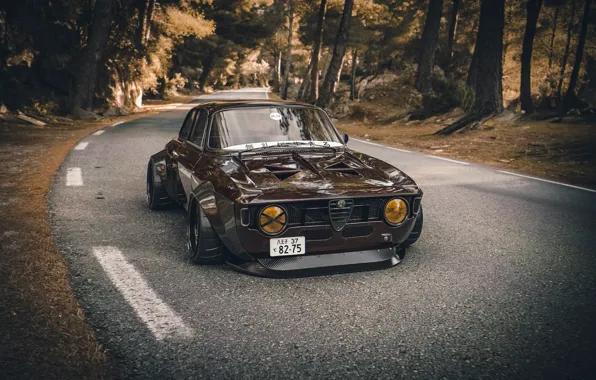 Auto, Machine, Style, Alfa Romeo, Car, Car, 1965, Tuning