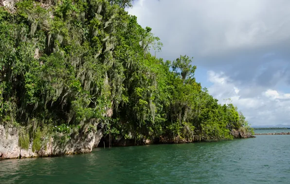 Picture National Park, Dominican Republic, National Park, Adobe, Samana, Dominican Respublic, Los Haitises