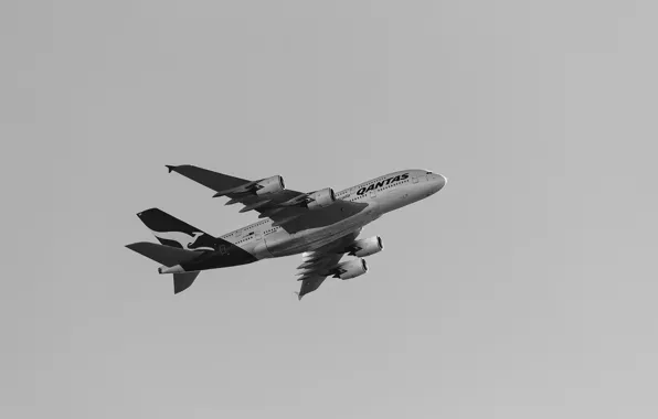 Flight, the plane, Qantas, A380