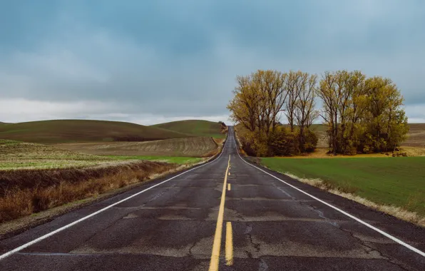 Road, trees, countryside, farm, cloudy, rainy, farmland