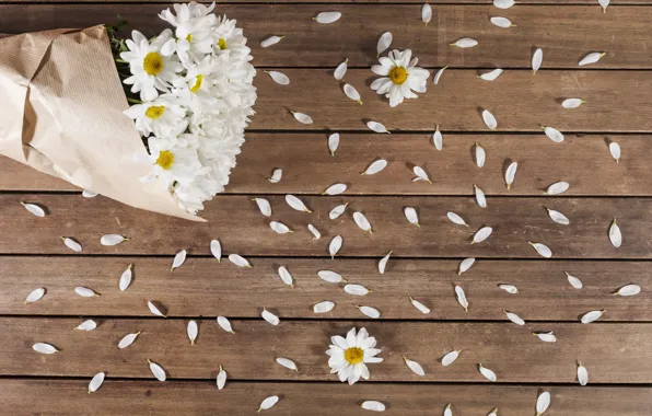 Paper, chamomile, petals, wooden background