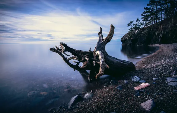 Picture sea, coast, snag, Sweden, Easter Gotland, Stava