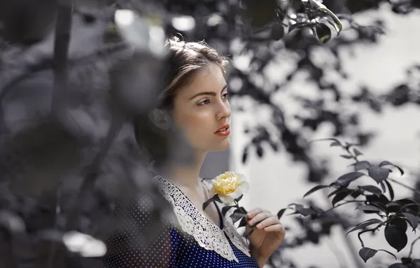 Picture flower, look, girl, face, hair