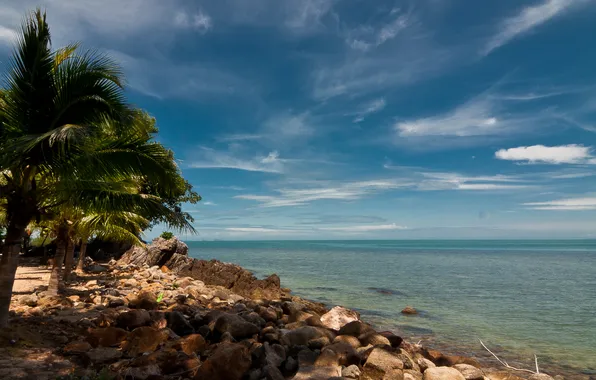Picture sea, beach, the sky, stones, palm trees, The ocean, Thailand, Thailand