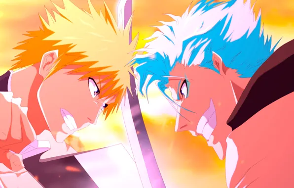 Bleach, Bleach, Kurosaki Ichigo, Grimjow