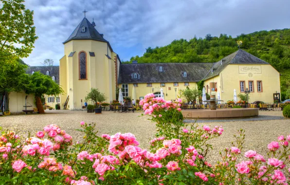 The city, photo, roses, Germany, Cathedral, temple, the monastery, Bernkastel-Kues