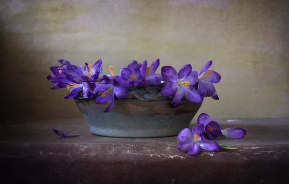 Flowers, crocuses, bowl, still life, a bunch, lilac, ceramics