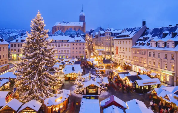 Winter, the sky, snow, lights, holiday, tree, home, Christmas