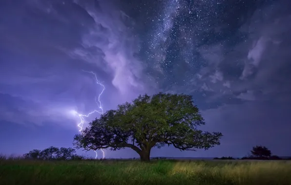 Picture Tree, Night, Stars, Lightning, Energo5