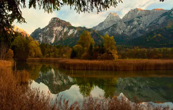Autumn, forest, mountains, nature, river