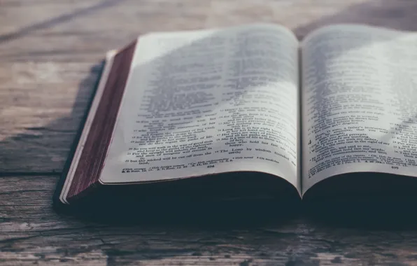 Love, Christian, God, Bible, Sunlight, Jesus, Holy Bible, Sixteen Miles Out