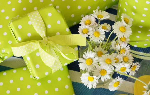 Flowers, chamomile, bouquet, petals, gifts, white, white, flowers