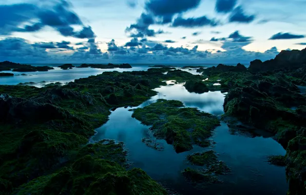 Picture sea, the sky, clouds, green, stones, shore, twilight, pond