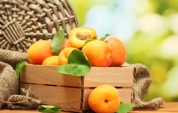 Fruit, apricots, apricot