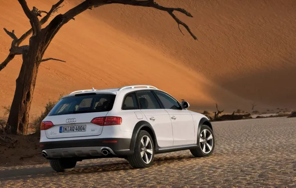 White, Audi, desert, Allroad