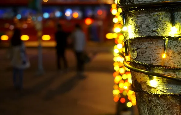 Macro, light, lights, tree, street, lights, New Year, Christmas
