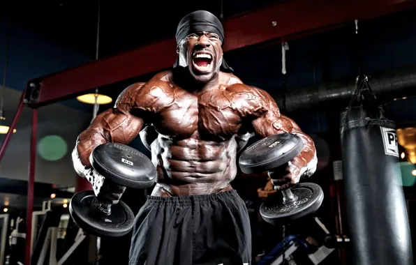 Pose, muscle, muscle, gym, bodybuilder, dumbbells, bodybuilder, Kali Muscle