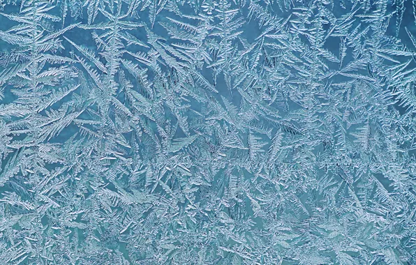 Picture frost, glass, pattern, frost
