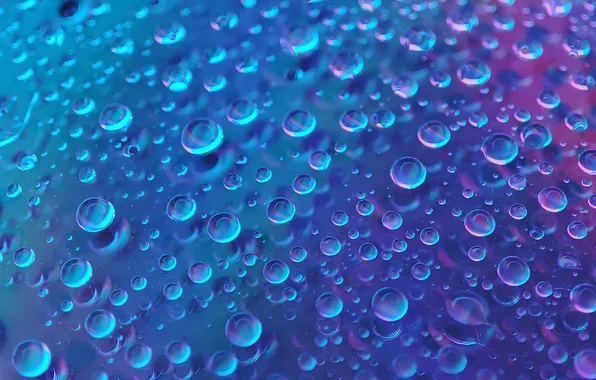 Picture Photography, Macro, Blue aesthetic, Rain droplets, Water droplets, Closeup Photography