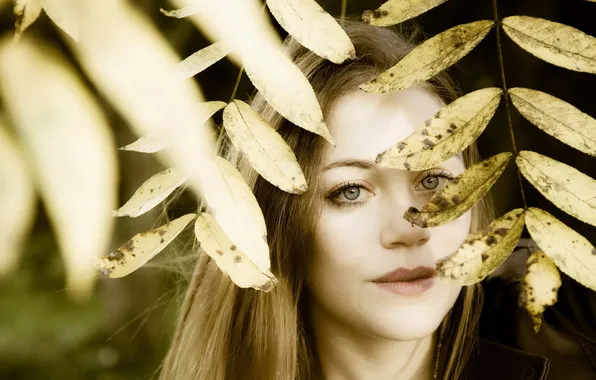 Picture autumn, girl, portrait