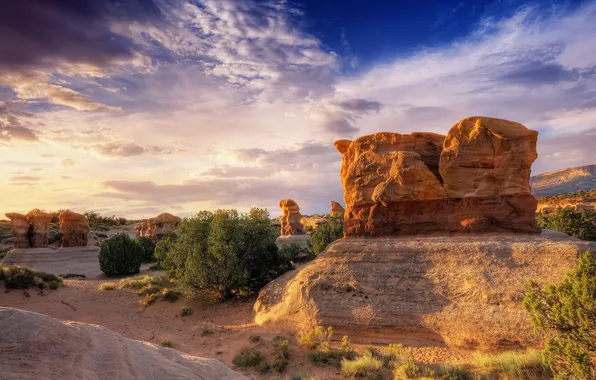 Stones, rocks, canyon, the bushes